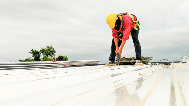 Best Solar Panel Roofing Installation  in New Haven, MO